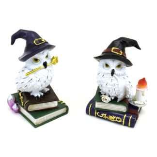 Wise Old Magical Owl on Spell Books