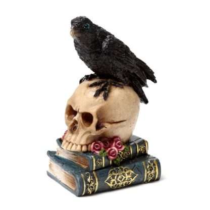 Crow Perched on Skull & Books - Image 2