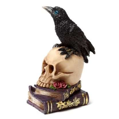 Crow Perched on Skull & Books - Image 3
