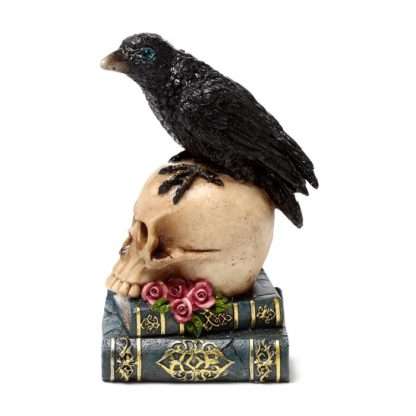 Crow Perched on Skull & Books - Image 4