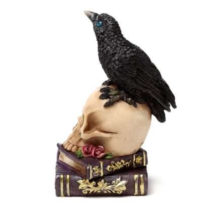 Crow Perched on Skull & Books - Image 5