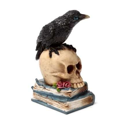 Crow Perched on Skull & Books - Image 6