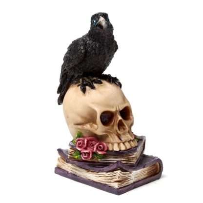 Crow Perched on Skull & Books - Image 7