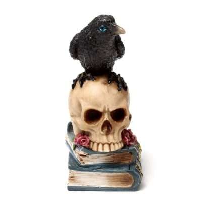 Crow Perched on Skull & Books - Image 8