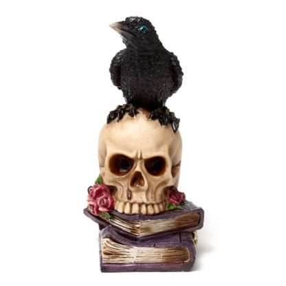 Crow Perched on Skull & Books - Image 9