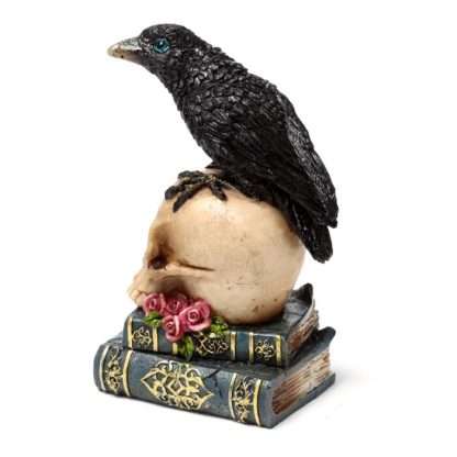 Crow Perched on Skull & Books - Image 10