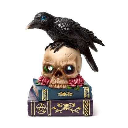 Crow Perched on LED Skull & Books - Image 9