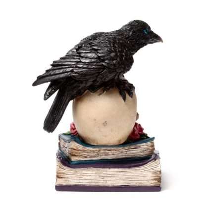 Crow Perched on LED Skull & Books - Image 4
