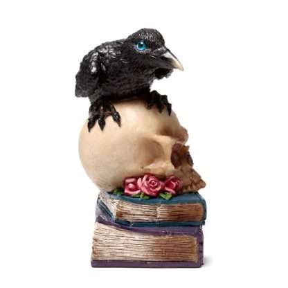 Crow Perched on LED Skull & Books - Image 6