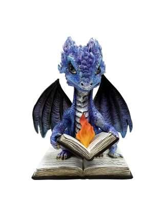 Dragon Reading Book on Fire