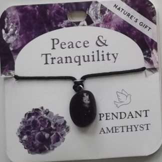 Natures Gift Jewelry Healing Pendant Amethyst- Peace & Tranquility