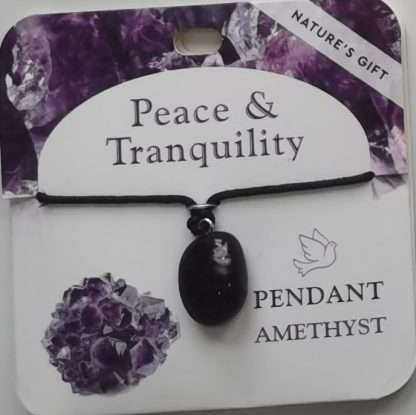 Natures Gift Jewelry Healing Pendant Amethyst- Peace & Tranquility