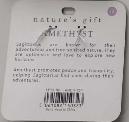 Natures Gift Jewelry Zodiac Keyring Amethyst- Sagittarius - Image 5