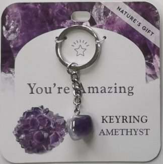 Natures Gift Jewelry Wishing Keyring Amethyst- You're Amazing