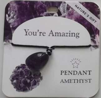 Natures Gift Jewelry Wishing Pendant Amethyst- You're Amazing