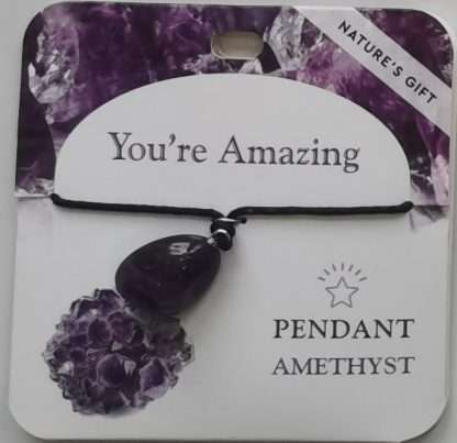 Natures Gift Jewelry Wishing Pendant Amethyst- You're Amazing