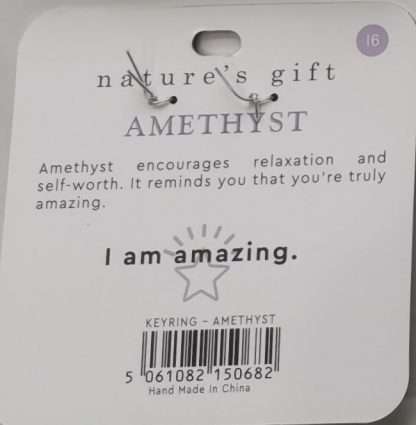 Natures Gift Jewelry Wishing Keyring Amethyst- You're Amazing - Image 5