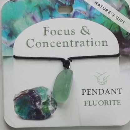 Natures Gift Jewelry Healing Pendant Fluorite- Focus & Concentration
