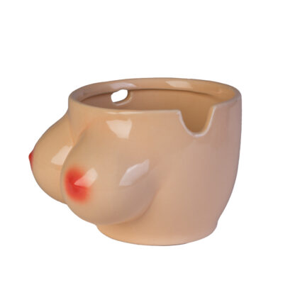 Boobs Ceramic Noodle Bowl with Bamboo Chopsticks - Image 2