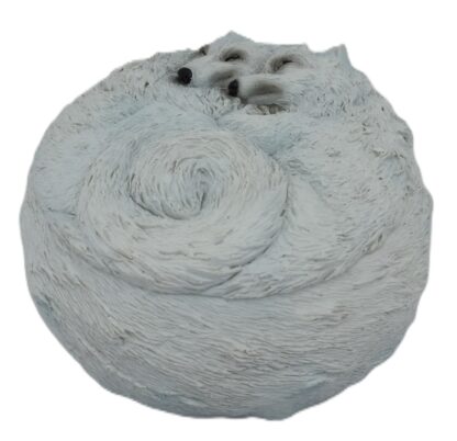 Mystical Wolves Trinket Box - Image 2