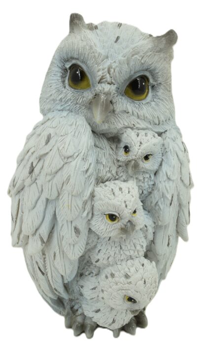 Family of Owls