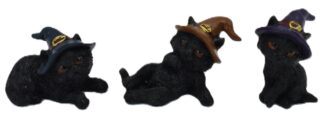 Baby Witch Cat