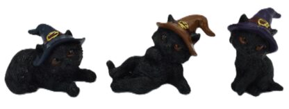 Baby Witch Cat