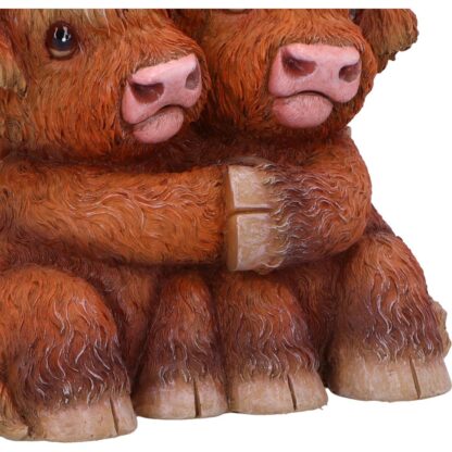 Nemesis Now Highland Hug 14.5cm - Image 6