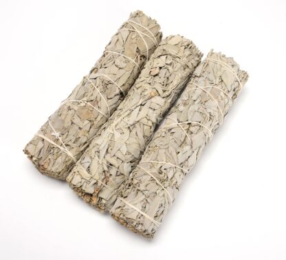 White Sage Smudge Stick 7 inch - Image 2