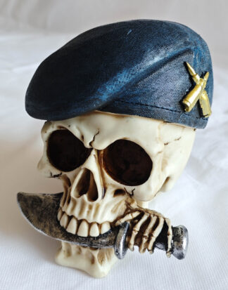 Skull Wearing Beret with Dagger