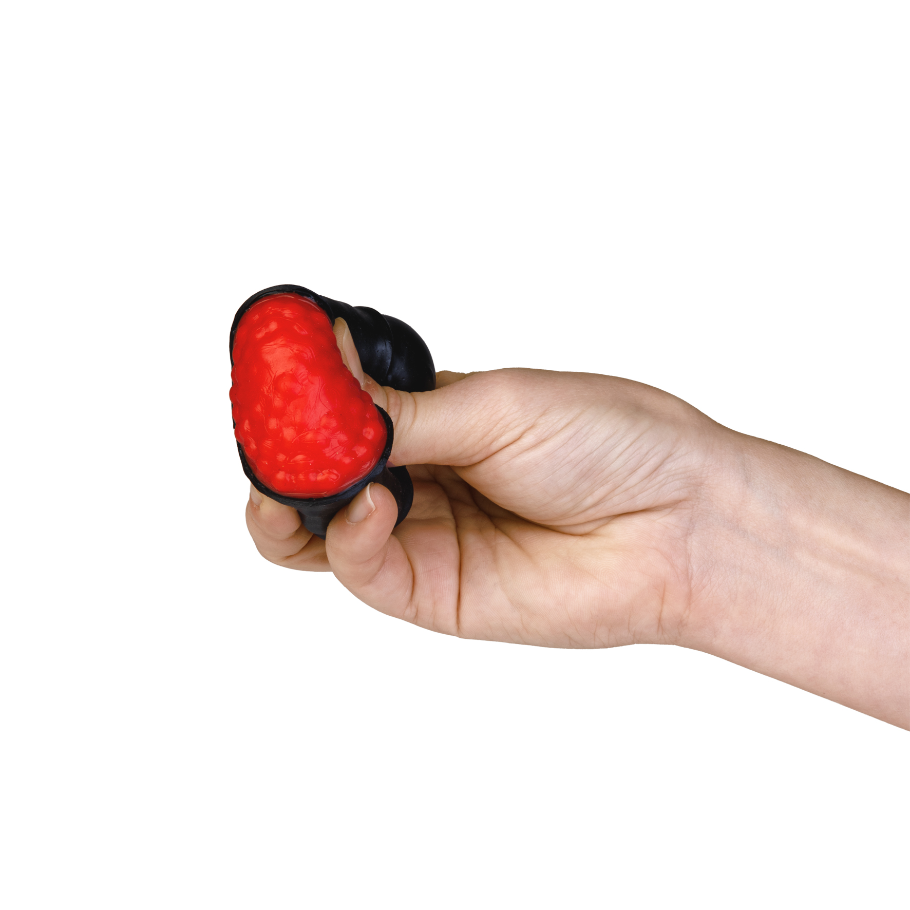 Fidget Sushi Platter - Image 4