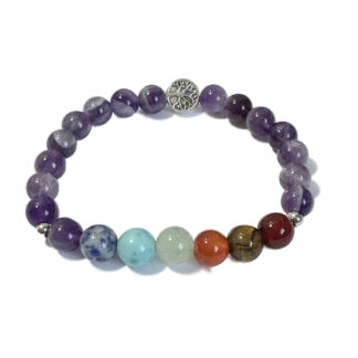 Chakra Bracelet Amethyst & Tree of Life Bead