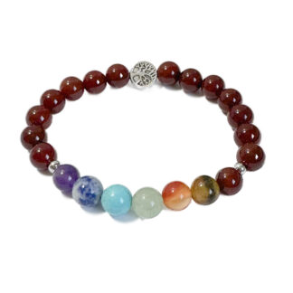 Chakra Bracelet Carnelian & Tree of Life Bead