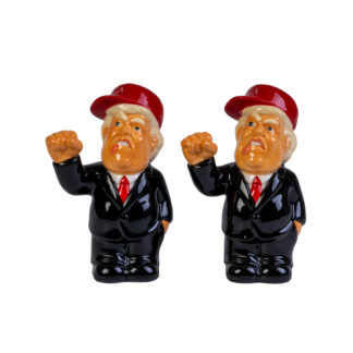 Donald Salt & Pepper Set