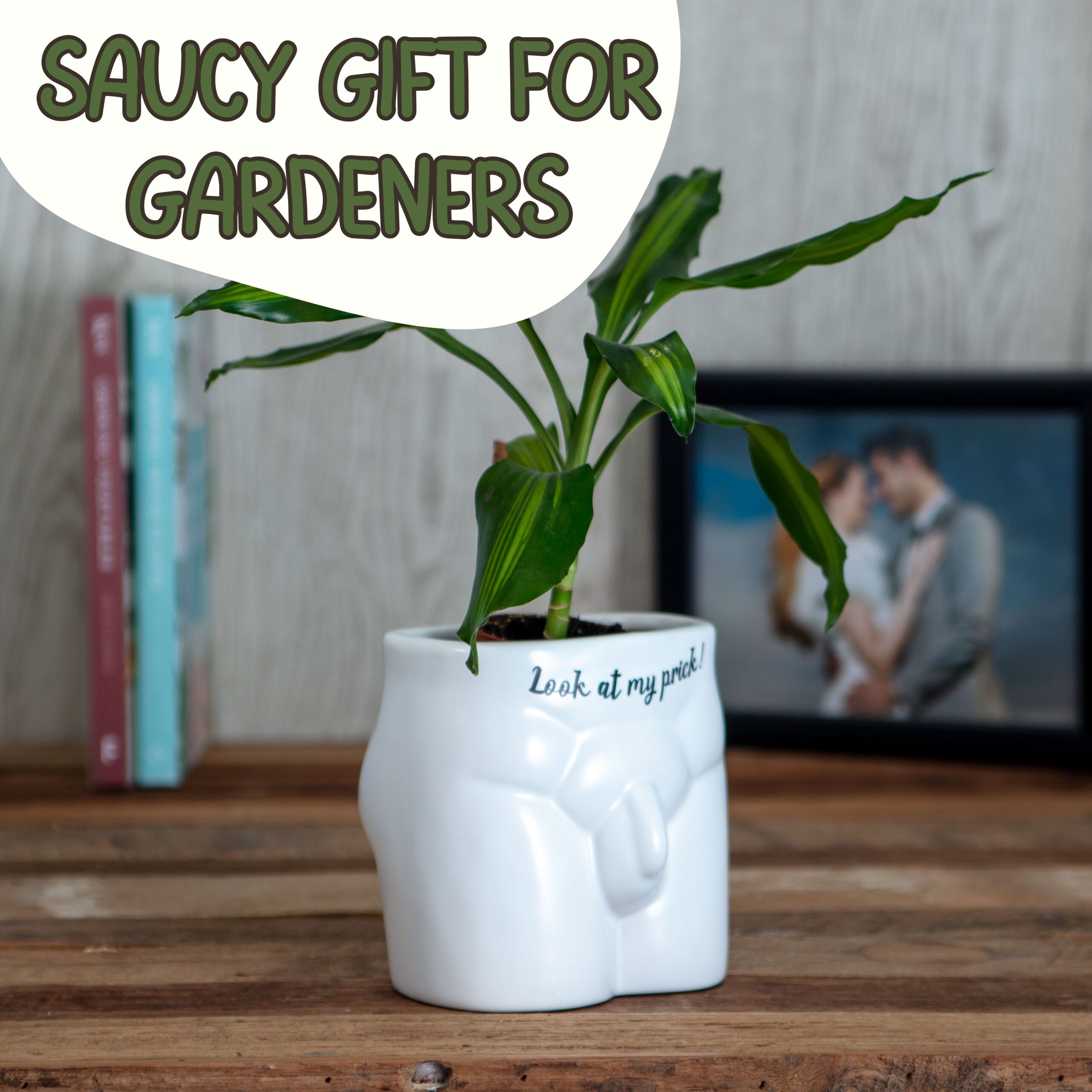 Put Some Plants On - Look At My Prick - Image 2