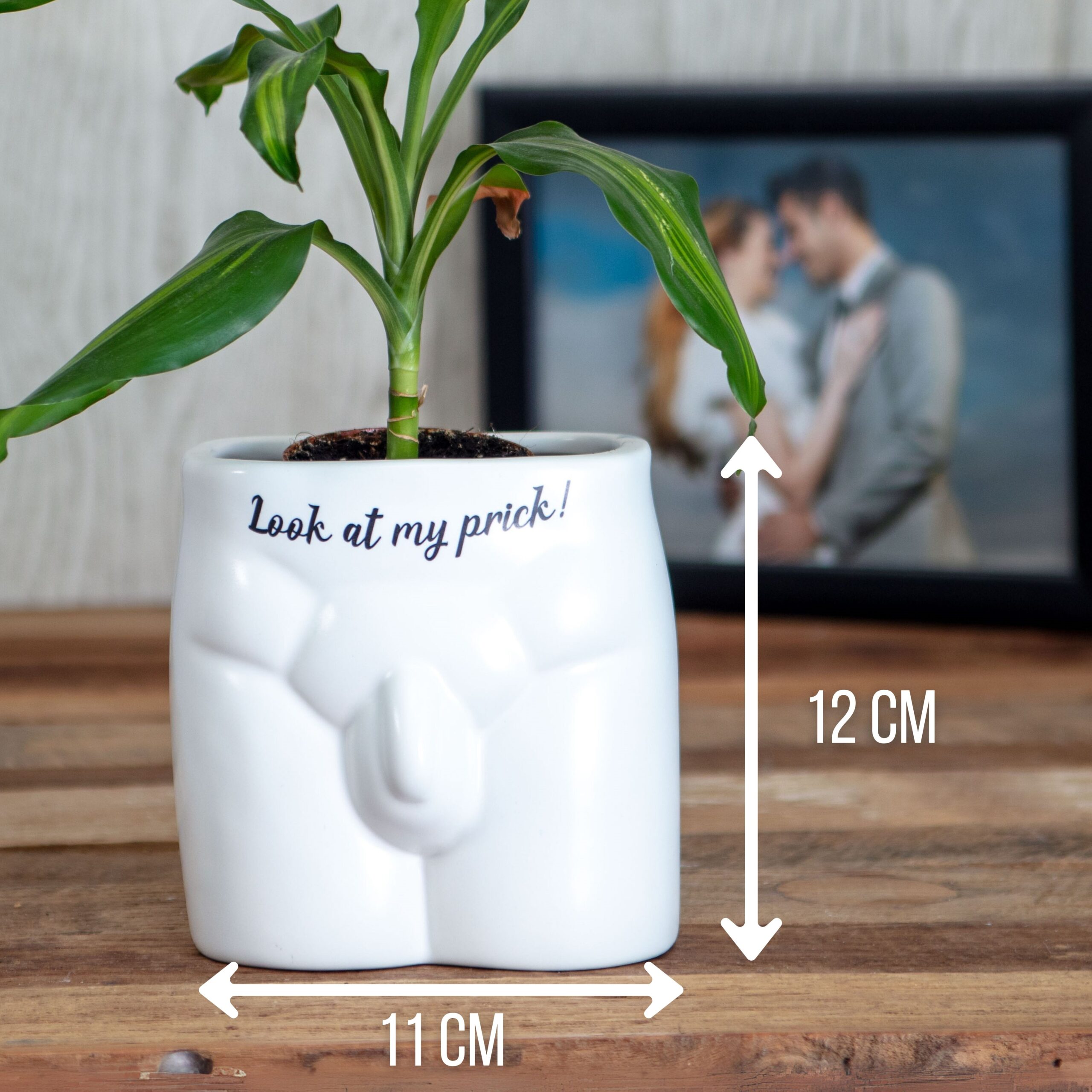 Put Some Plants On - Look At My Prick - Image 3