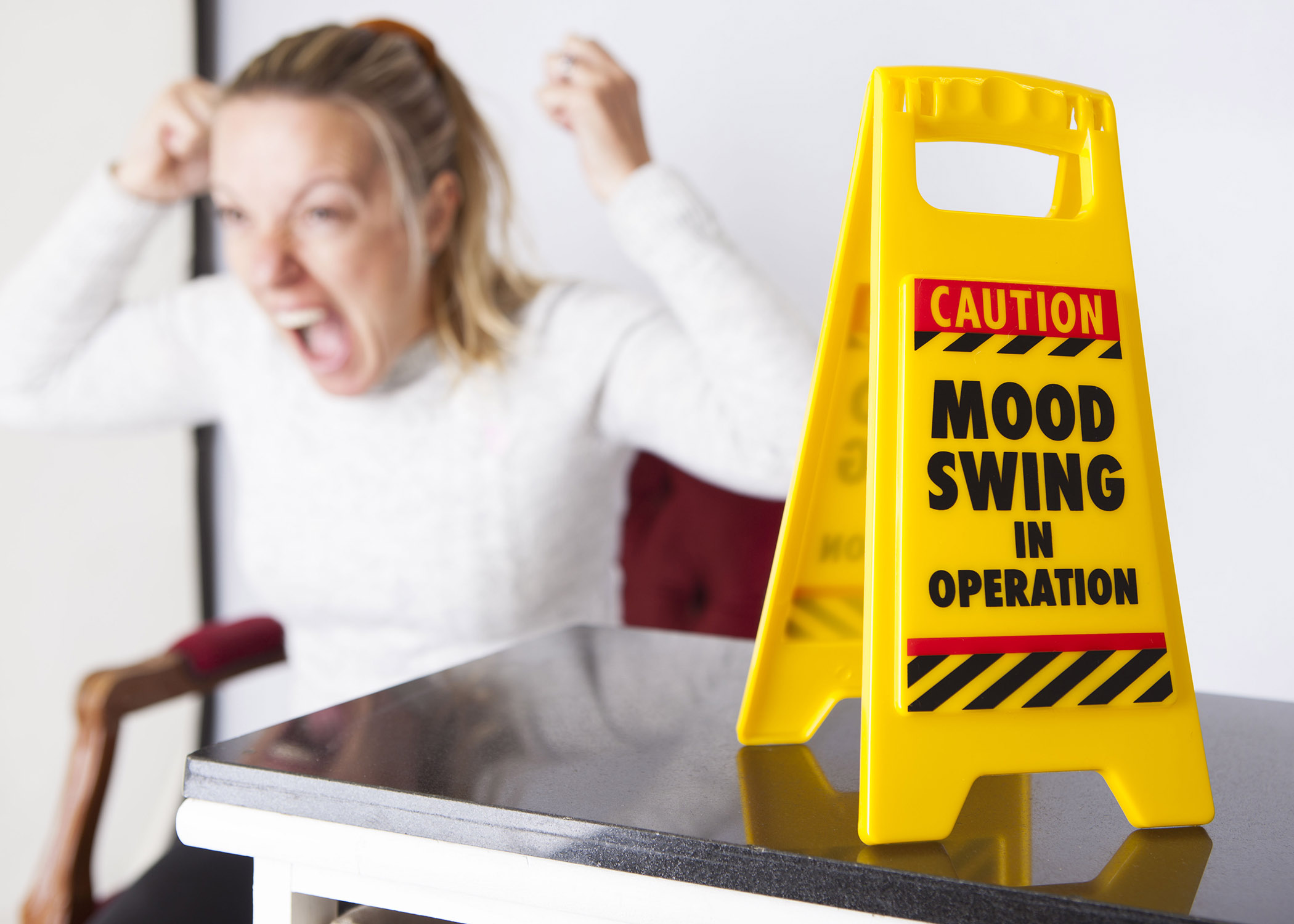 Desk Warning Sign - Mood Swing - Image 4