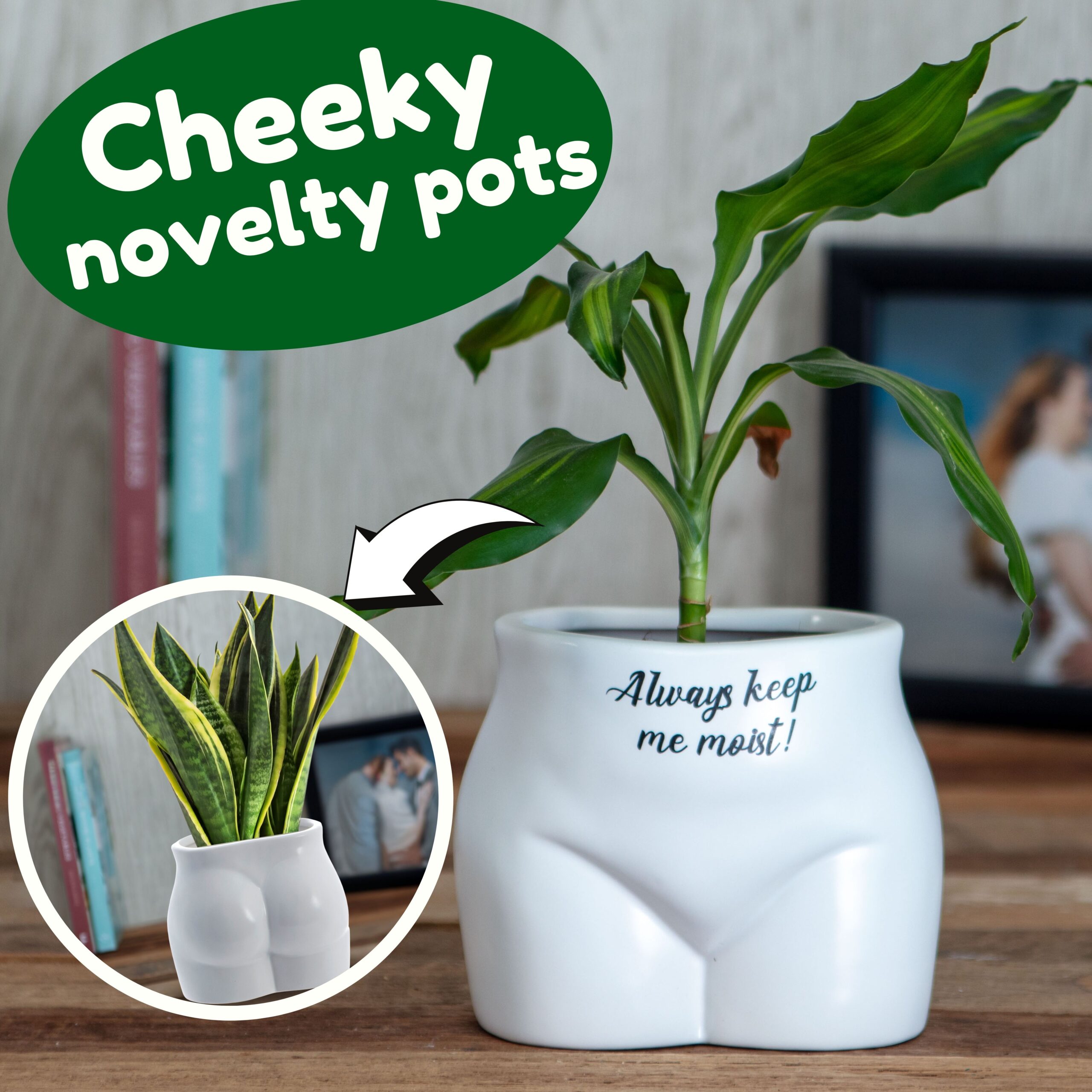 Put Some Plants On - Always Keep Me Moist - Image 3