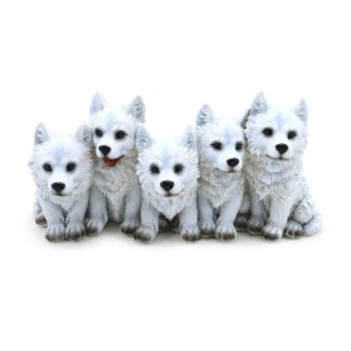 5 Mischievous Wolf Puppies