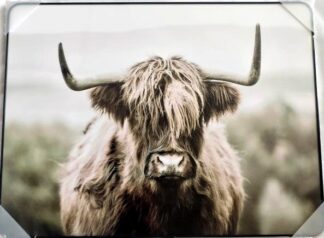 Framed PVC Pop Art Highland Cow 30x40cm