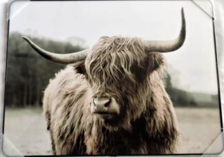 Framed PVC Pop Art Highland Cow 30x40cm