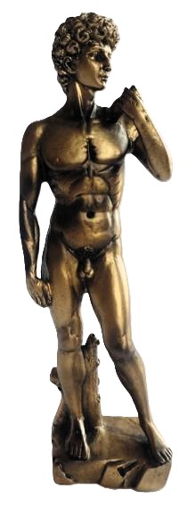 Statue of David Bronze